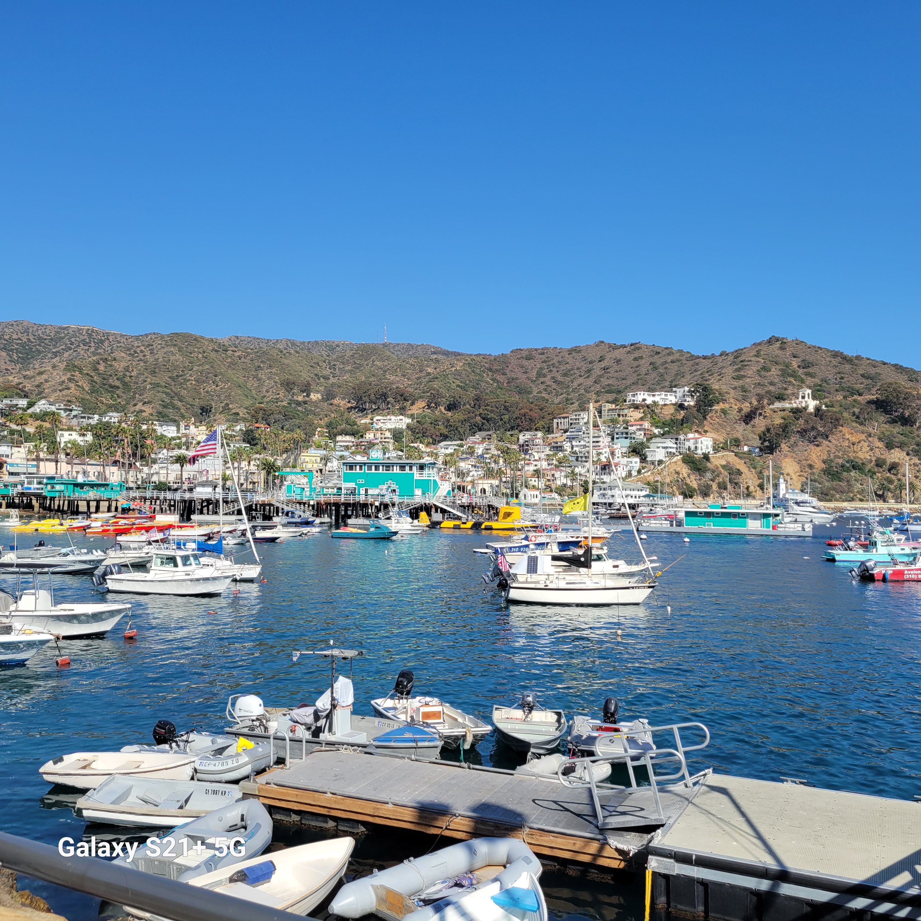第三天 - 4 晚卡塔利娜島&墨西哥恩森那達之旅 (4 Night Catalina and Ensenada) 照片