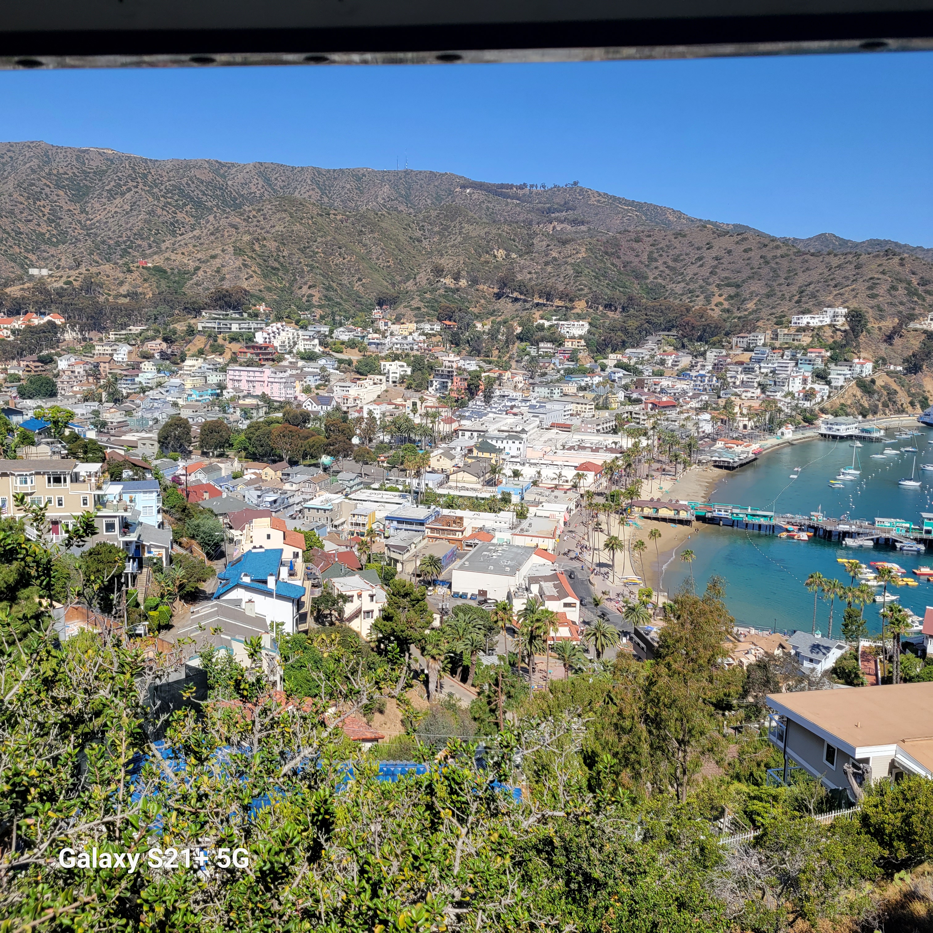 第三天 - 4 晚卡塔利娜島&墨西哥恩森那達之旅 (4 Night Catalina and Ensenada) 照片