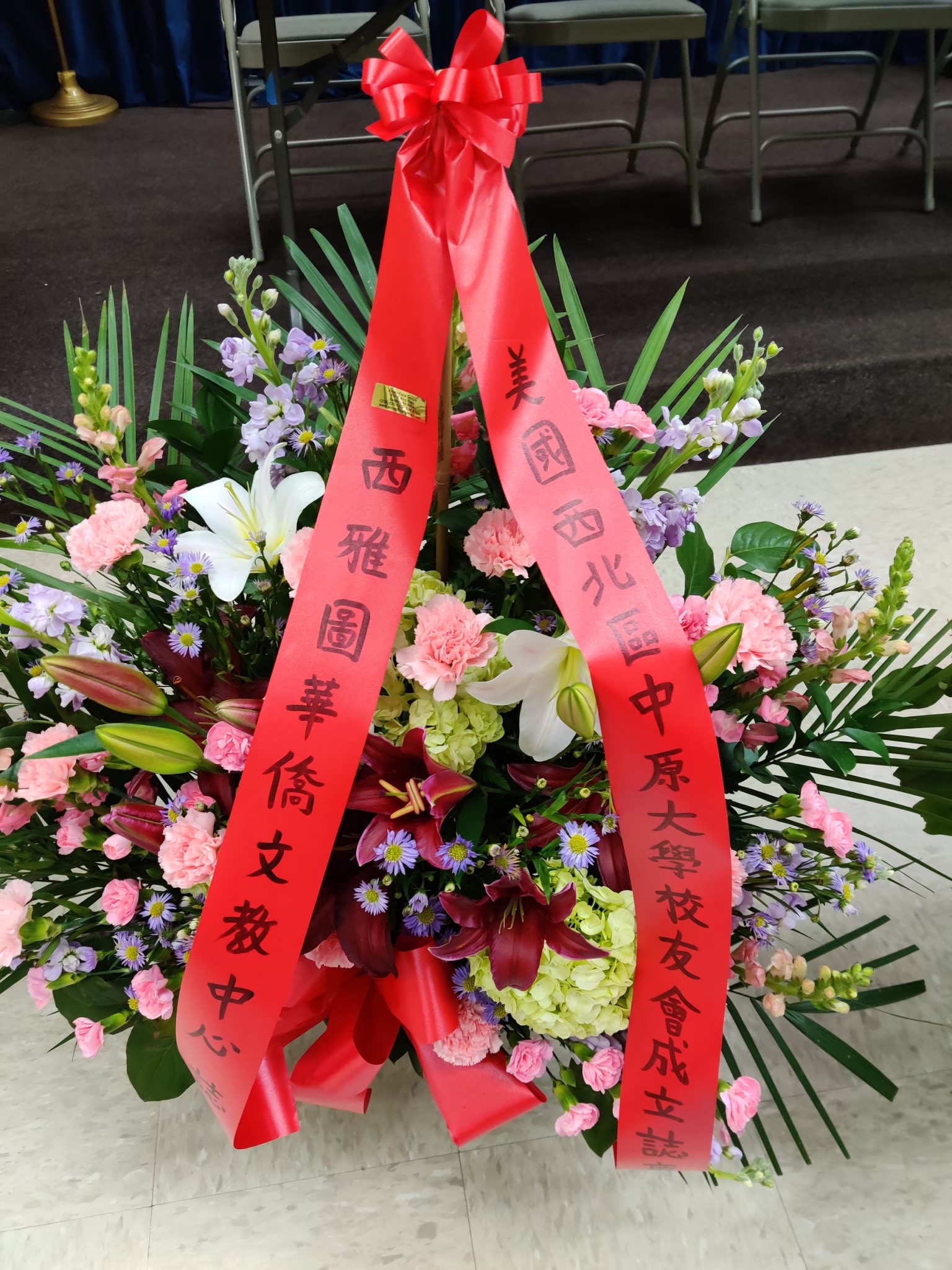  照片